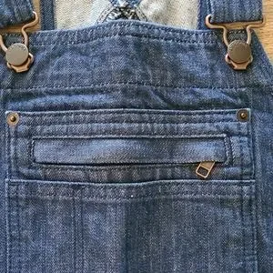 パタゴニア　steel forge denim overalls オーバーオール パタゴニアsteel forge denim overalls オーバーオール